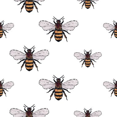 böcekler, vektör çizim ile beyaz arka plan