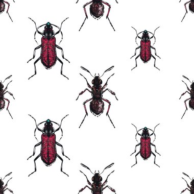 böcekler, vektör çizim ile beyaz arka plan