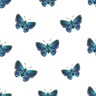 böcekler, vektör çizim ile beyaz arka plan