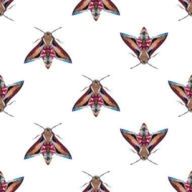 böcekler, vektör çizim ile beyaz arka plan