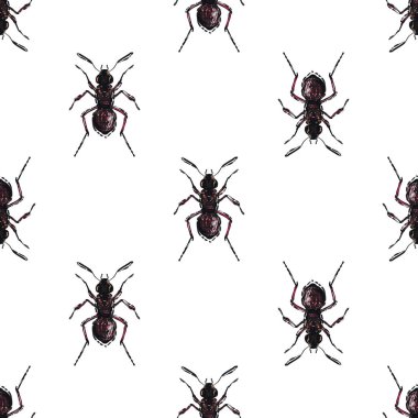 böcekler, vektör çizim ile beyaz arka plan