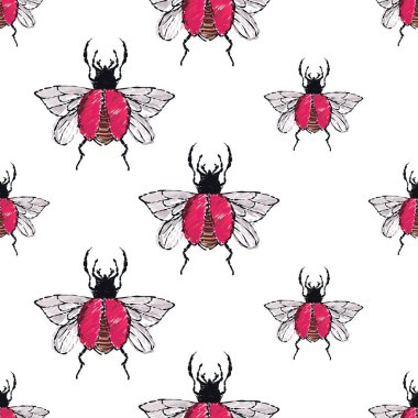 böcekler, vektör çizim ile beyaz arka plan