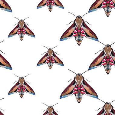 böcekler, vektör çizim ile beyaz arka plan