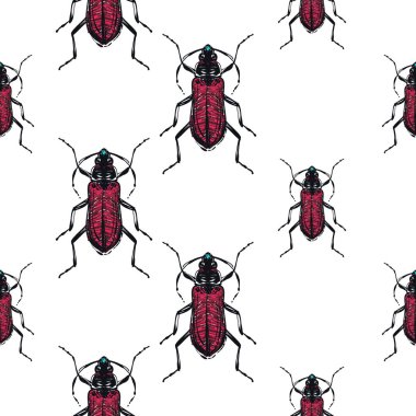 böcekler, vektör çizim ile beyaz arka plan