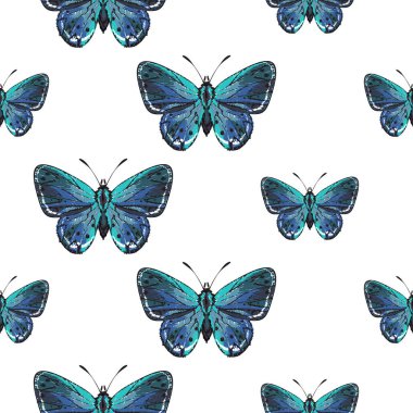 böcekler, vektör çizim ile beyaz arka plan