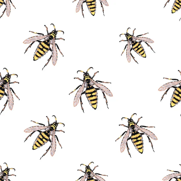 Witte Achtergrond Met Insecten Vectorillustratie — Stockvector