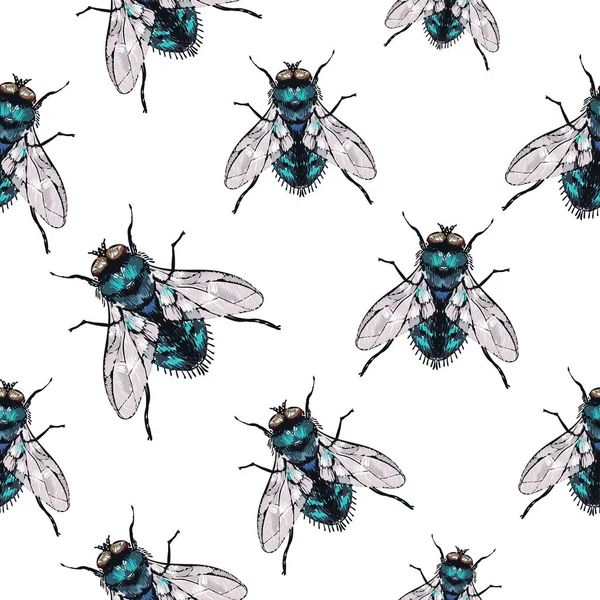 Fond Blanc Avec Insectes Illustration Vectorielle — Image vectorielle