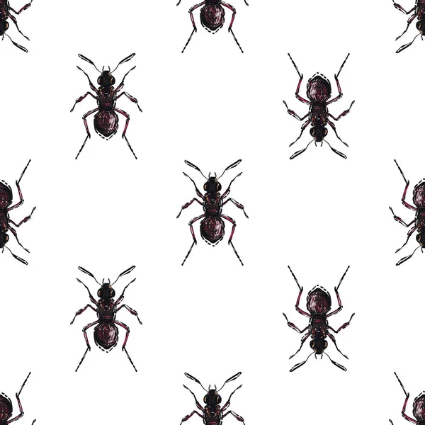 Witte Achtergrond Met Insecten Vectorillustratie — Stockvector