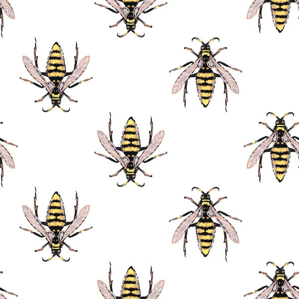 Witte Achtergrond Met Insecten Vectorillustratie — Stockvector