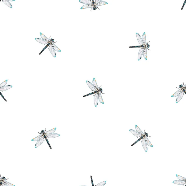 Fondo Blanco Con Insectos Ilustración Vectorial — Archivo Imágenes Vectoriales