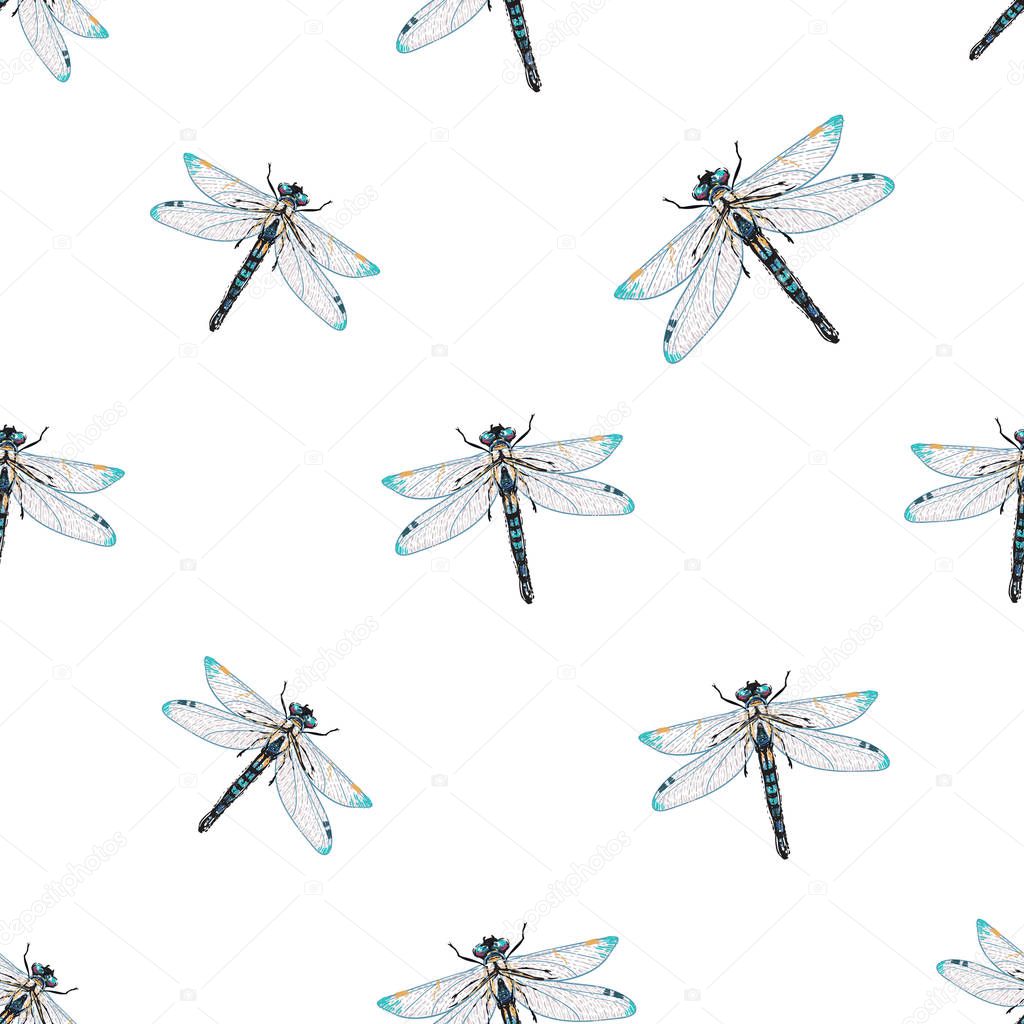 white background with insects, vector illustration