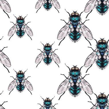 böcekler, vektör çizim ile beyaz arka plan