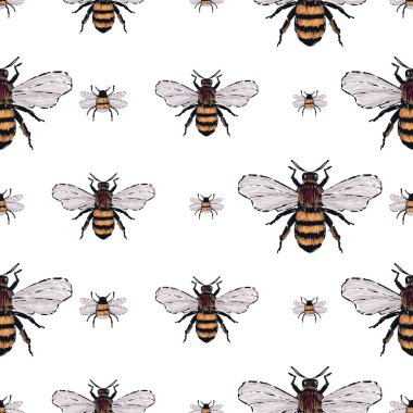 böcekler, vektör çizim ile beyaz arka plan