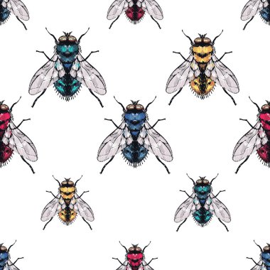 böcekler, vektör çizim ile beyaz arka plan