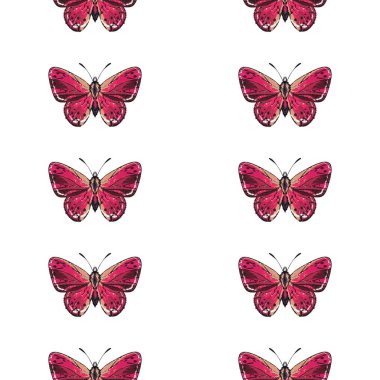 böcekler, vektör çizim ile beyaz arka plan