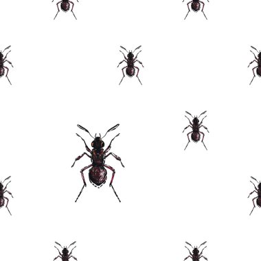 böcekler, vektör çizim ile beyaz arka plan