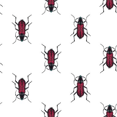 böcekler, vektör çizim ile beyaz arka plan