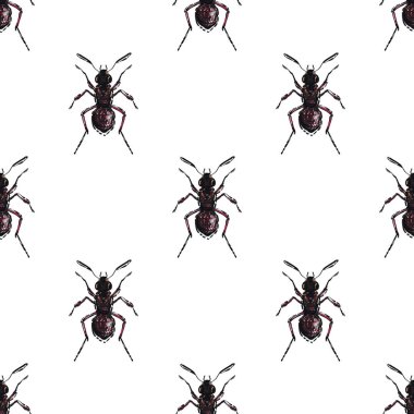 böcekler, vektör çizim ile beyaz arka plan