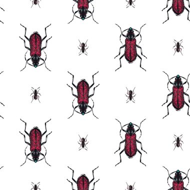 böcekler, vektör çizim ile beyaz arka plan