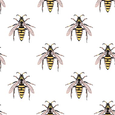 böcekler, vektör çizim ile beyaz arka plan