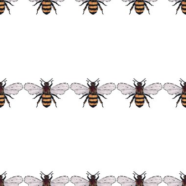 böcekler, vektör çizim ile beyaz arka plan