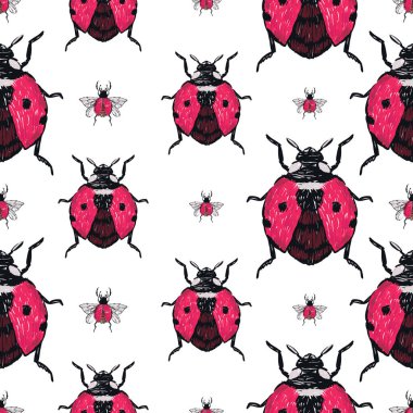 böcekler, vektör çizim ile beyaz arka plan