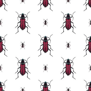 böcekler, vektör çizim ile beyaz arka plan