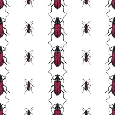 böcekler, vektör çizim ile beyaz arka plan