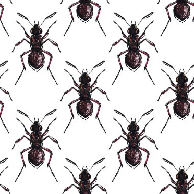 böcekler, vektör çizim ile beyaz arka plan