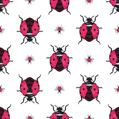 böcekler, vektör çizim ile beyaz arka plan