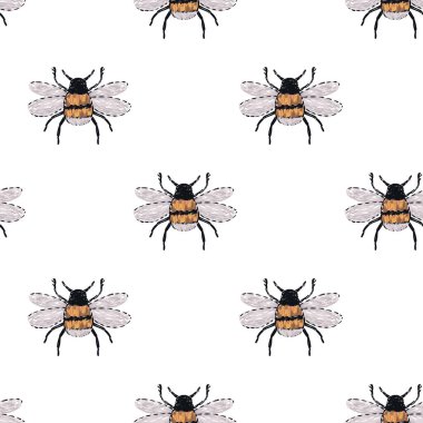 böcekler, vektör çizim ile beyaz arka plan