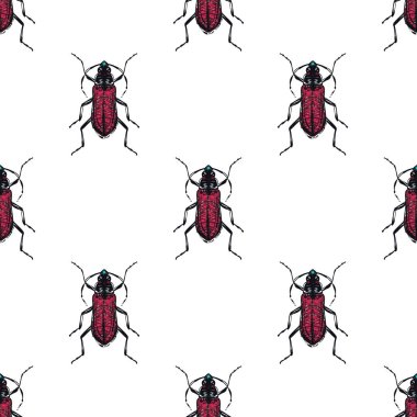 böcekler, vektör çizim ile beyaz arka plan