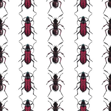 böcekler, vektör çizim ile beyaz arka plan