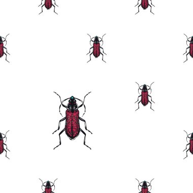 böcekler, vektör çizim ile beyaz arka plan