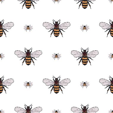 böcekler, vektör çizim ile beyaz arka plan