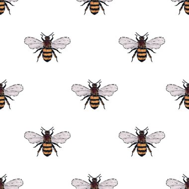 böcekler, vektör çizim ile beyaz arka plan