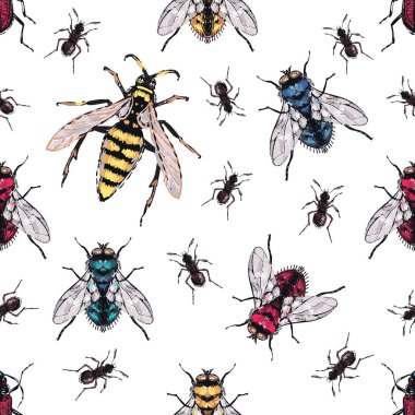 böcekler, vektör çizim ile beyaz arka plan