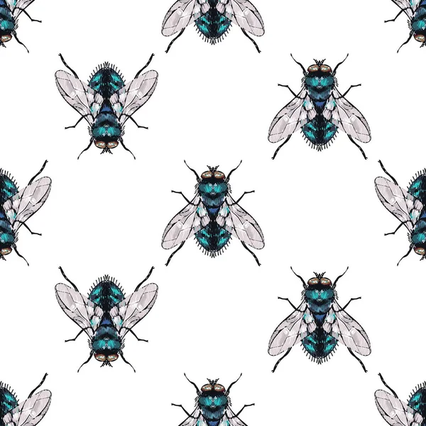 Fondo Blanco Con Insectos Ilustración Vectorial — Vector de stock