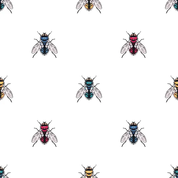 Fondo Blanco Con Insectos Ilustración Vectorial — Archivo Imágenes Vectoriales