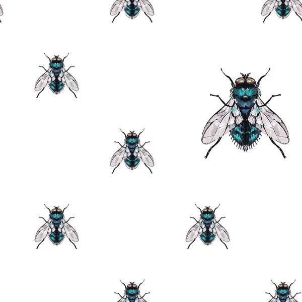 Fondo Blanco Con Insectos Ilustración Vectorial — Vector de stock