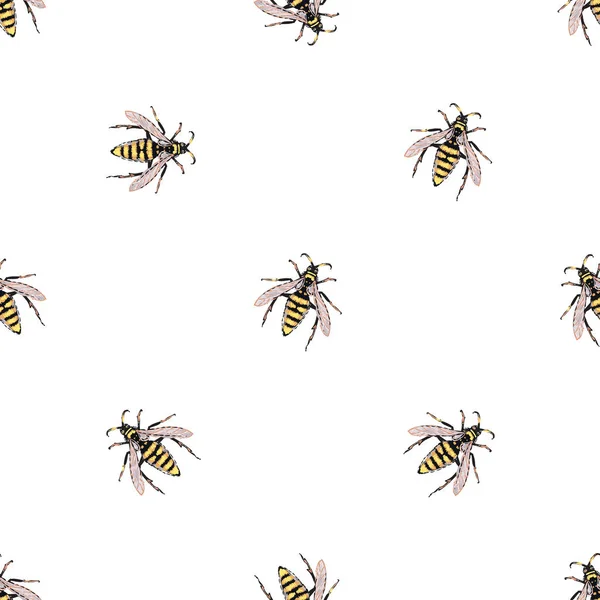 Witte Achtergrond Met Insecten Vectorillustratie — Stockvector