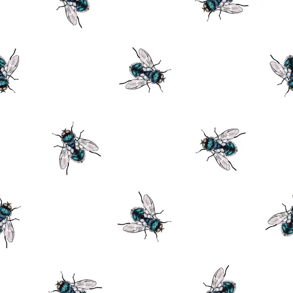 Witte Achtergrond Met Insecten Vectorillustratie — Stockvector