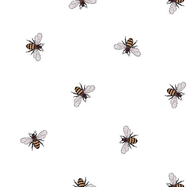 Witte Achtergrond Met Insecten Vectorillustratie — Stockvector