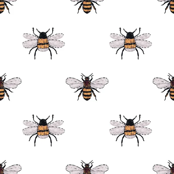 Fondo Blanco Con Insectos Ilustración Vectorial — Vector de stock