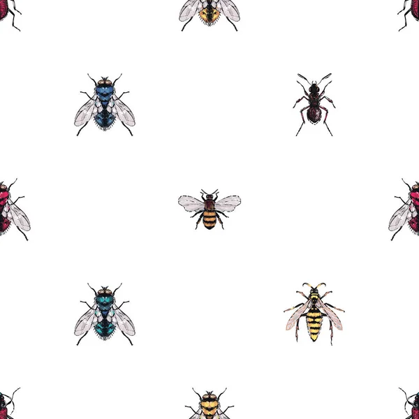 Witte Achtergrond Met Insecten Vectorillustratie — Stockvector