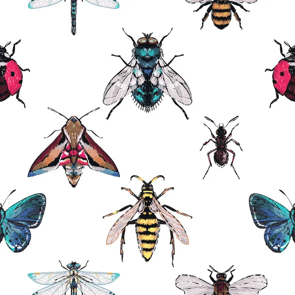 Witte Achtergrond Met Insecten Vectorillustratie — Stockvector