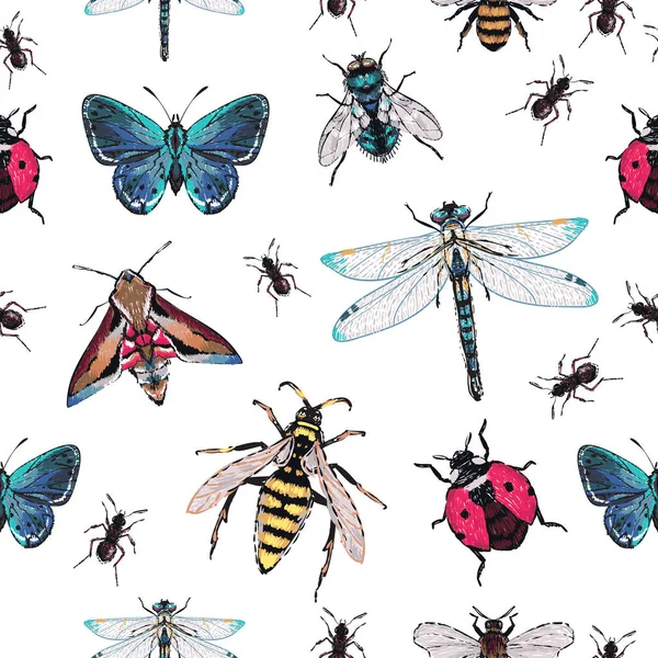 Fondo Blanco Con Insectos Ilustración Vectorial — Archivo Imágenes Vectoriales