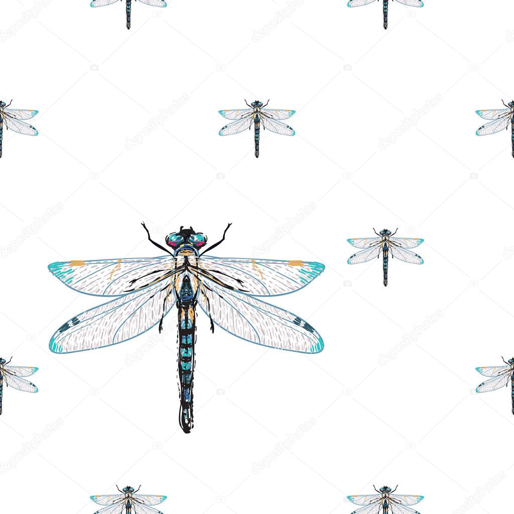 white background with insects, vector illustration