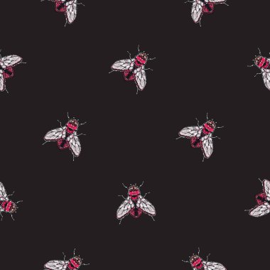 böcekler, vektör çizim ile siyah arka plan