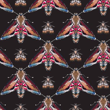 böcekler, vektör çizim ile siyah arka plan